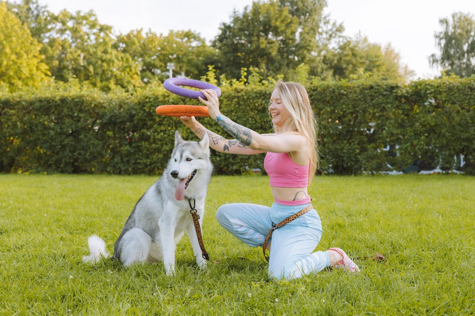 Common Causes of Aggression in Huskies