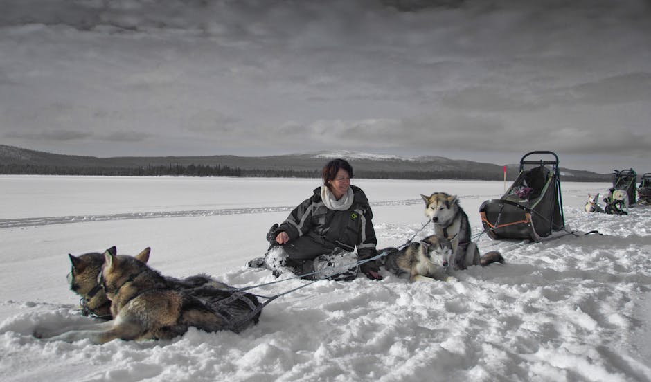 Essential Equipment for Sled Training
