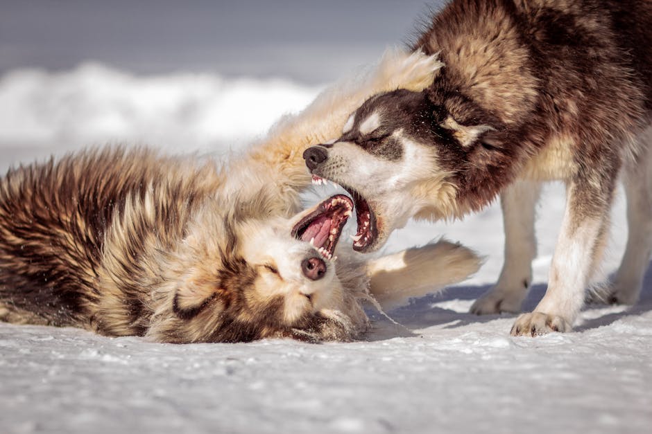 When Does the Biting Phase Start and End?