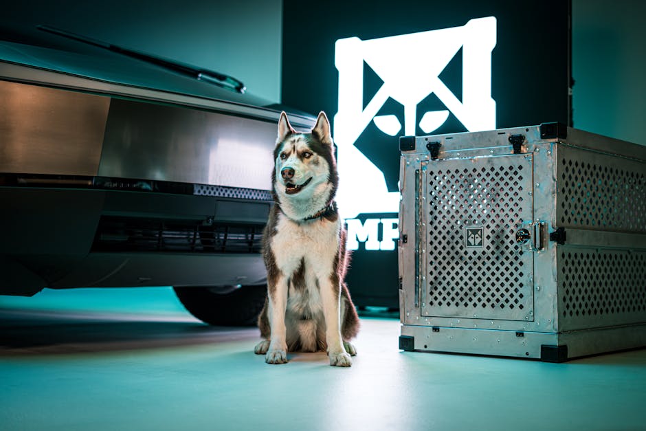Key Features to Look for in a Husky Crate