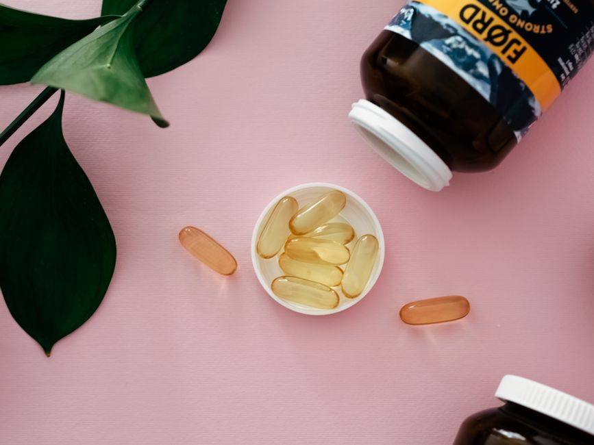 Top 5 Best Fish Oil Supplements for Huskies