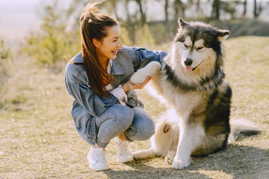 Positive Reinforcement Training for Huskies: A Complete Guide