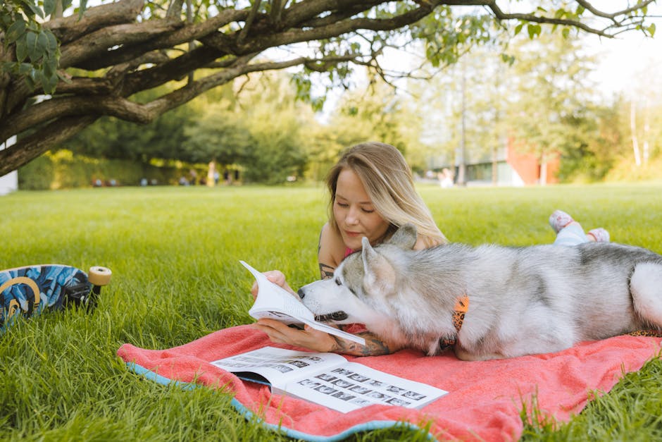 Why Books Remain Essential for Husky Training