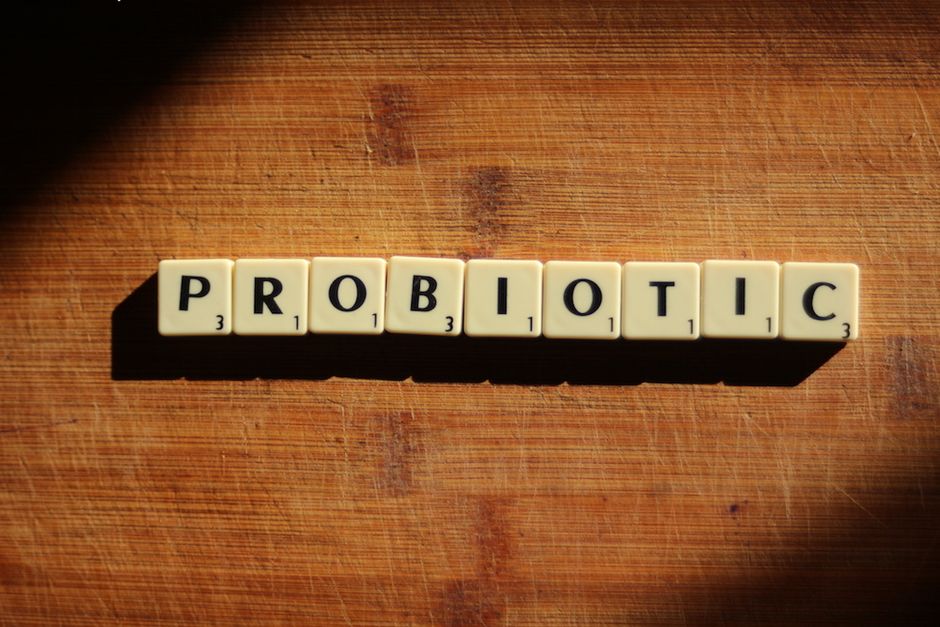 Health Benefits of Probiotics for Huskies