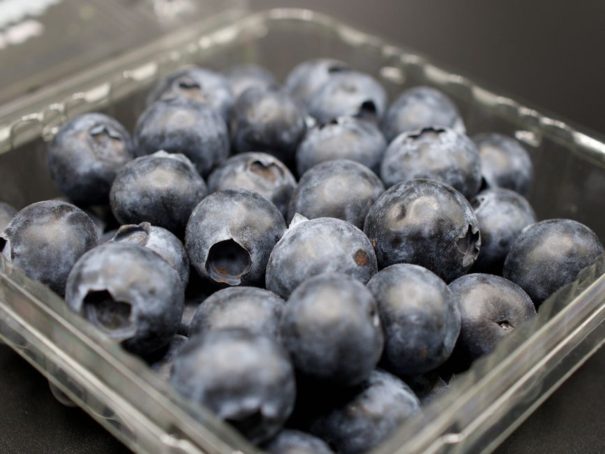 Nutritional Benefits of Blueberries for Huskies