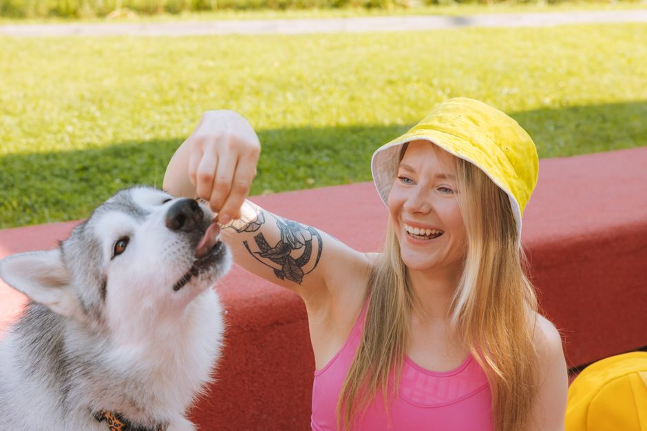 Potential Risks of Feeding Cheese to Huskies