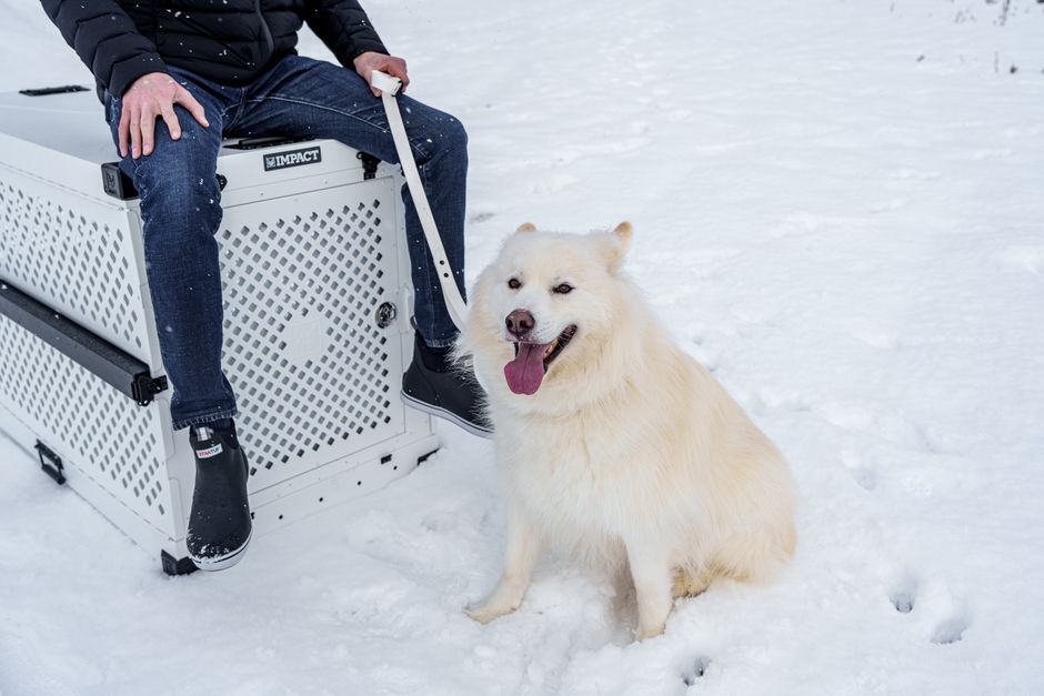 Choosing the Right Crate