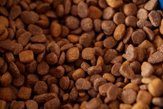 Grain Free Food for Huskies: A Complete Guide