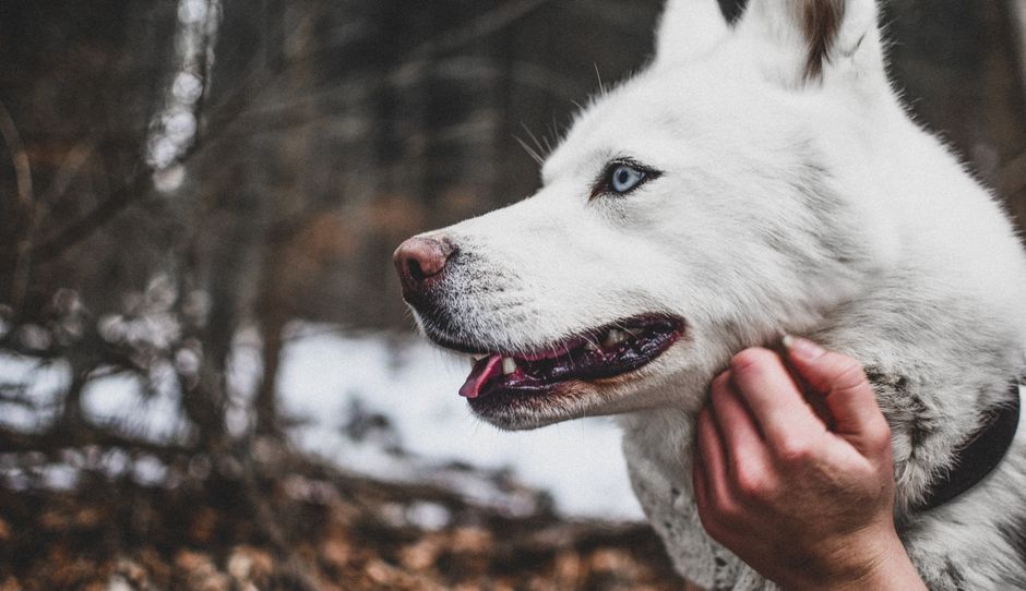Building Trust and Positivity