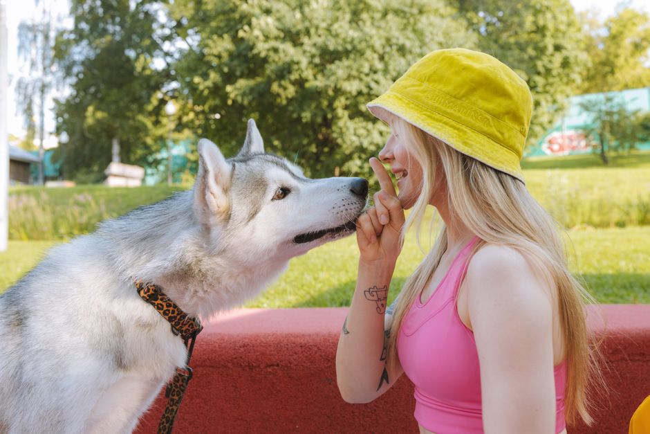 Understanding Husky Training Challenges
