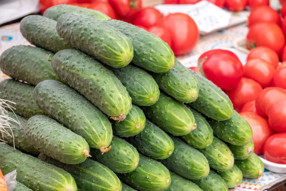 Nutritional Benefits of Cucumbers for Huskies