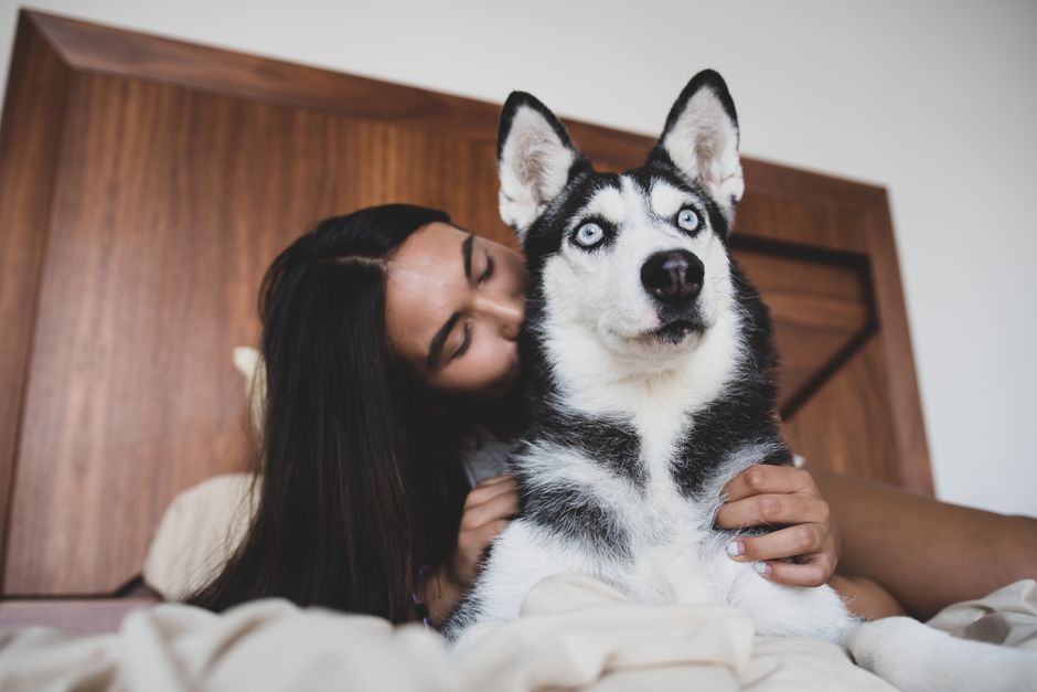Signs and Symptoms of Separation Anxiety