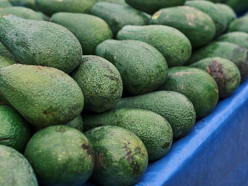 What Is Avocado?