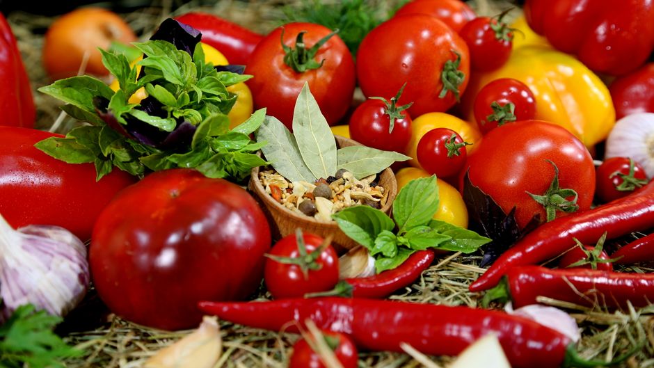 Can Huskies Eat Tomatoes? A Complete Guide for Dog Owners