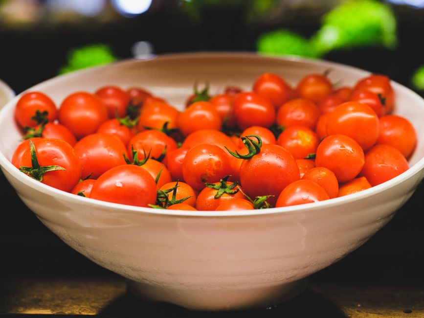 Health Benefits of Ripe Tomatoes for Huskies