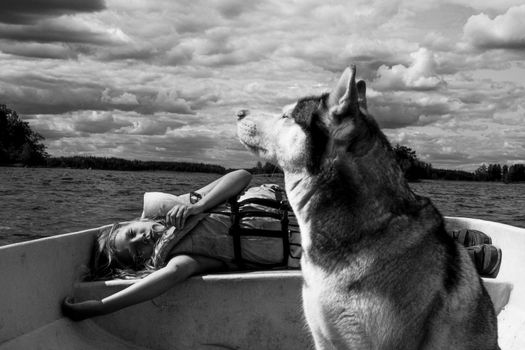 Husky Calmness Training: A Complete Guide to a Settled Dog