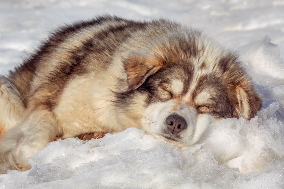 When Fast Breathing Indicates a Problem