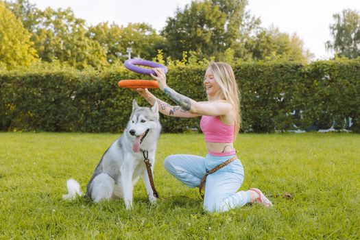 Husky Puppy Safe Toys: Top Picks & Safety Tips
