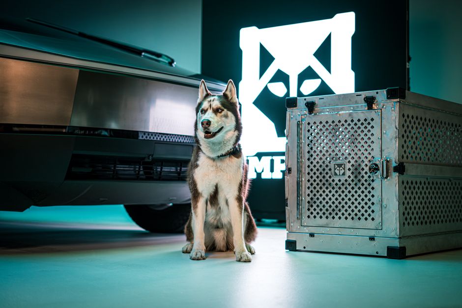 Understanding Crate Anxiety in Siberian Huskies