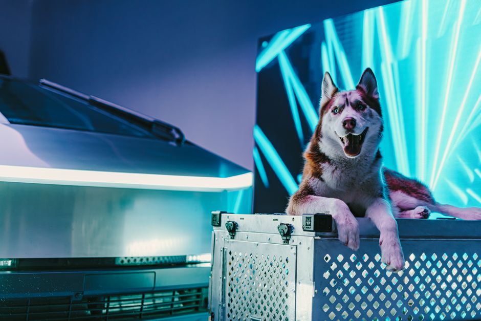 Common Mistakes Owners Make