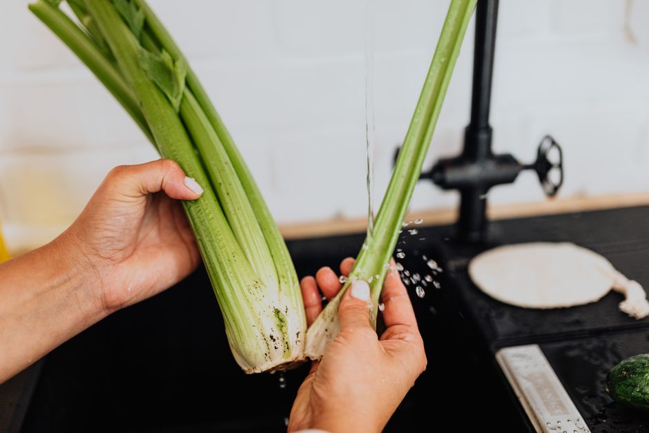 Health Benefits of Celery for Huskies