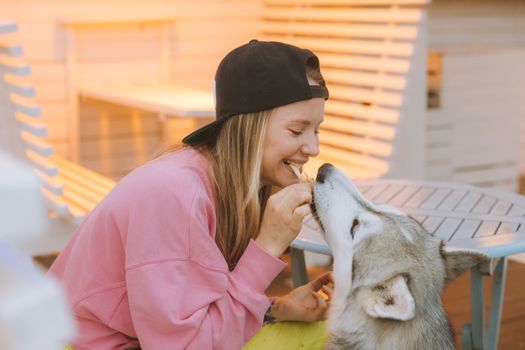 How Often Should Huskies Eat? A Complete Feeding Schedule Guide
