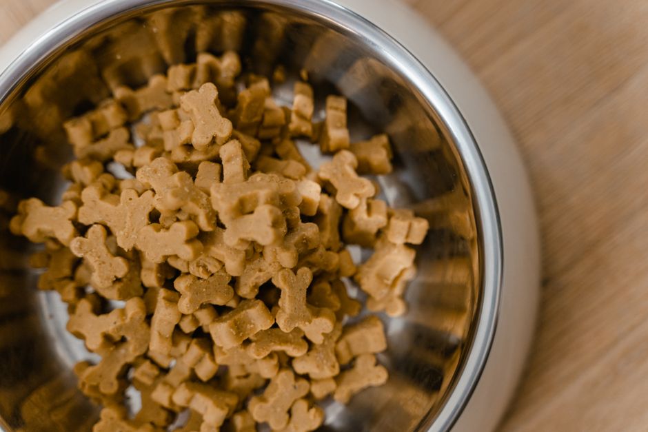 Top Store-Bought Healthy Snacks for Husky Puppies