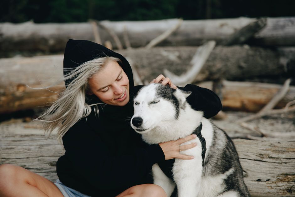 Factors That Affect Your Husky's Weight