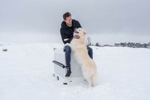 Husky Crate Anxiety Training: Step-by-Step Guide