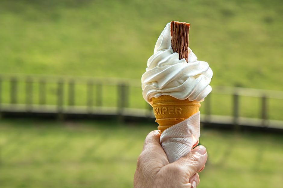 Why Frozen Treats Are Perfect for Huskies