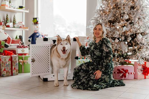 Husky Destroying Crate? Causes, Solutions & Prevention