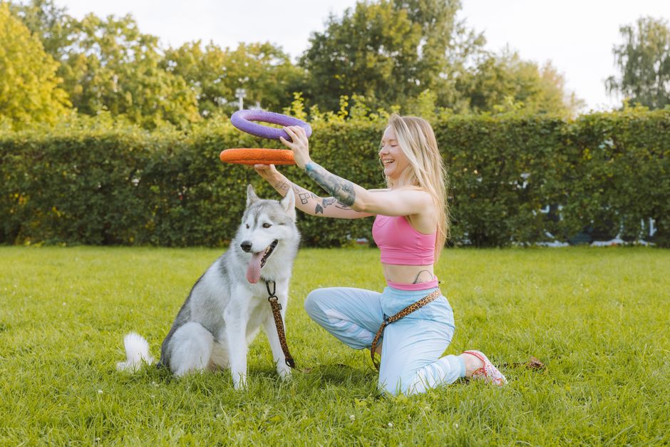 Why Outdoor Training is Crucial for Your Siberian Husky