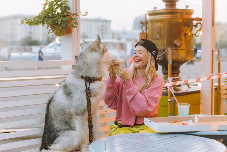 Choosing the Best Dog Food for Huskies